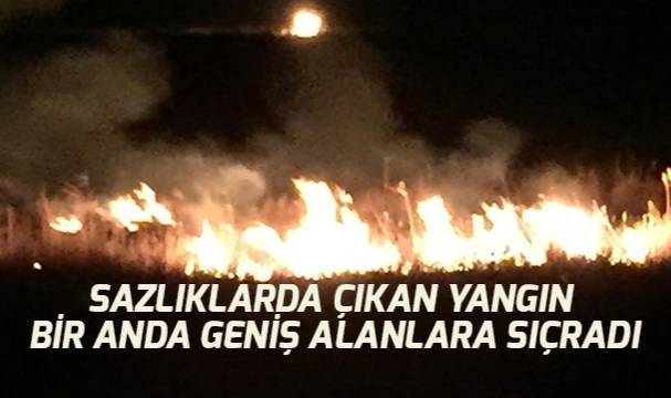 Sazlıklar alevlere teslim oldu
