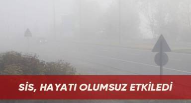 Sis, Hayatı Olumsuz Etkiledi