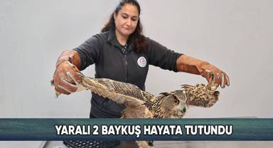 Yaban dostlarına Büyükşehir şefkati