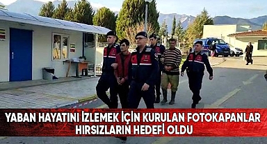 Yaban Hayatını İzlemek İçin Kurulan Fotokapanlar Hırsızların Hedefi Oldu