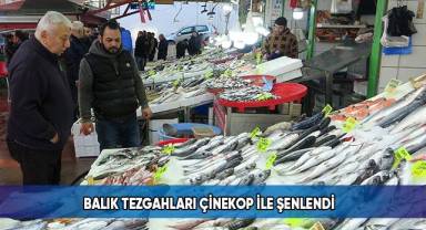 Balık tezgahlarında palamuttun ardından çinekop günü yaşanıyor