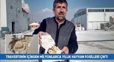 Beyaz cennette çıkan fosillere Fransızlar ilk eli attı