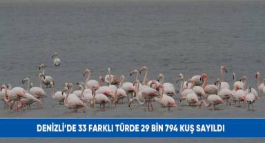 Denizli’de 33 farklı türde 29 bin 794 kuş sayıldı