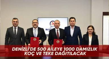 Denizli'de 500 aileye 1000 damızlık koç ve teke dağıtılacak