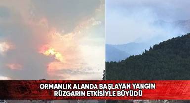 Denizli’de orman yangını