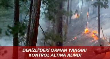 Denizli'deki orman yangını kontrol altına alındı