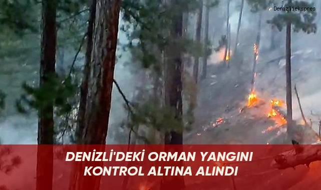 Denizli'deki orman yangını kontrol altına alındı