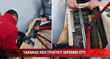 Koltukta çıkan sesleri duyan vatandaş telefona sarıldı