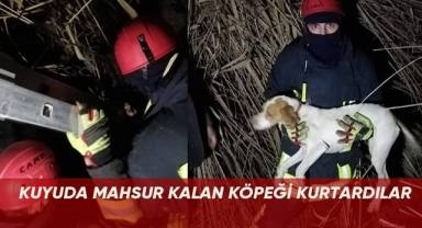 Kuyuda mahsur kalan köpeği itfaiye kurtardı
