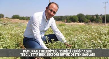 Pamukkale Belediyesi,