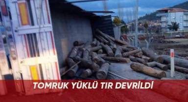 Tomruk yüklü tır devrildi