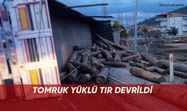 Tomruk yüklü tır devrildi