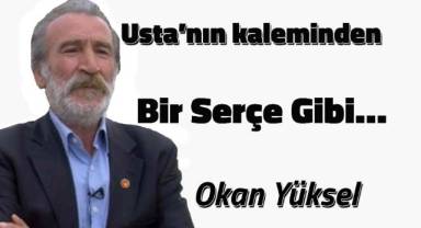 Bir Serçe Gibi…