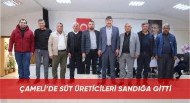 Çameli’de Süt Üreticileri Sandığa Gitti