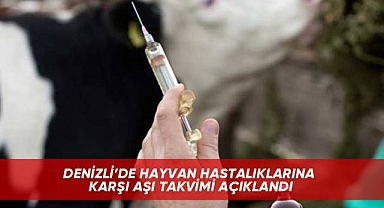 Denizli'de hayvan hastalıklarına karşı aşı takvimi açıklandı