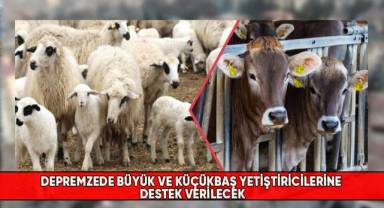 Depremzede büyük ve küçükbaş yetiştiricilerine destek verilecek