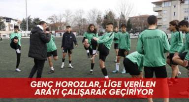 Genç horozlar, lige verilen arayı çalışarak geçiriyor