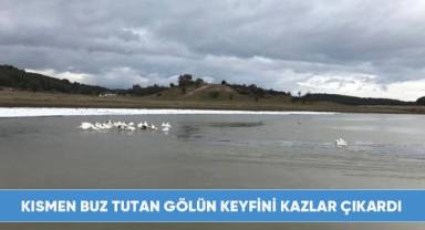 Kısmen buz tutan gölün keyfini kazlar çıkardı