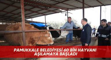 Pamukkale Belediyesi 60 bin hayvanı aşılamaya başladı