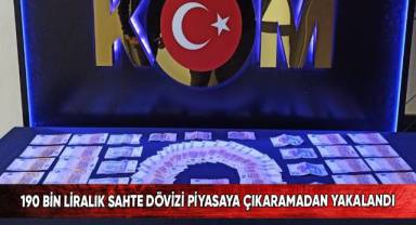 190 bin liralık sahte dövizi piyasaya çıkaramadan yakalandı