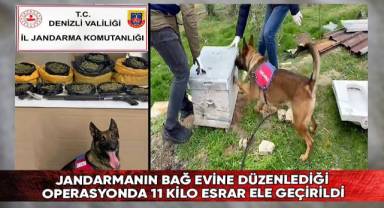 Arı kovanları ve sazlıkların arasına dahi uyuşturucu gizleyen baba oğul kıskıvrak yakalandı