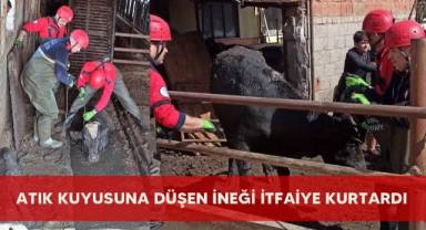 Atık kuyusuna düşen ineği itfaiye kurtardı