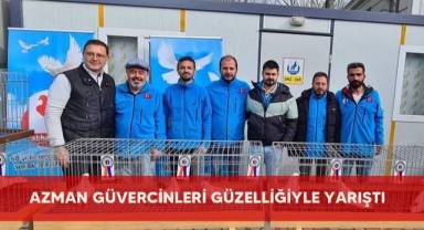 Azman güvercinleri güzelliğiyle yarıştı