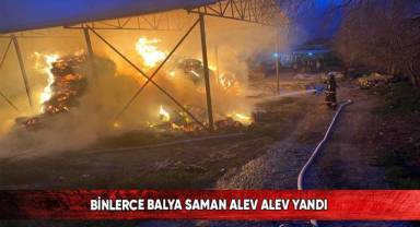 Binlerce balya saman alev alev yandı