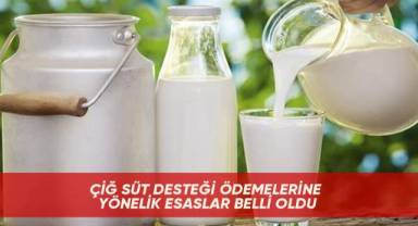 Çiğ süt desteği ödemelerine yönelik esaslar belli oldu