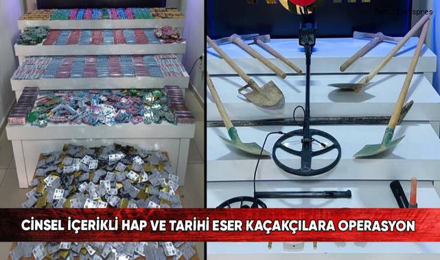 Cinsel içerikli hap ve tarihi eser kaçakçılara operasyon