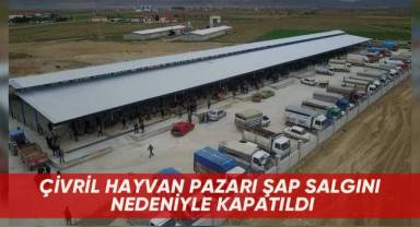 Çivril Hayvan Pazarı şap salgını nedeniyle kapatıldı