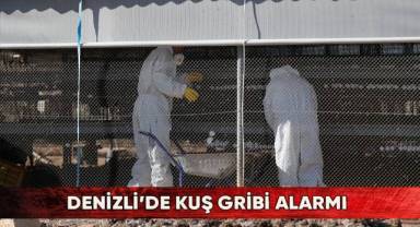 Denizli’de kuş gribi alarmı