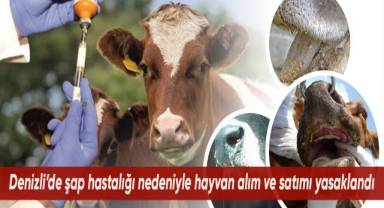 Denizli’de şap hastalığı nedeniyle hayvan alım ve satımı yasaklandı