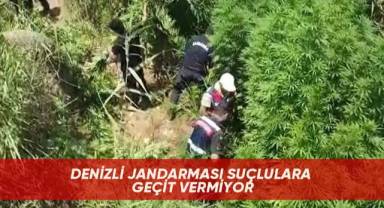 Denizli jandarması suçlulara geçit vermiyor
