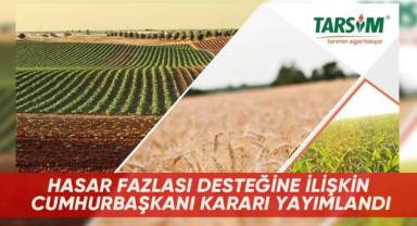 Hasar fazlası desteğine ilişkin Cumhurbaşkanı kararı yayımlandı