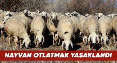 Hayvan otlatmak yasaklandı