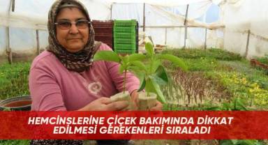 Hemcinslerine çiçek bakımında dikkat edilmesi gerekenleri sıraladı