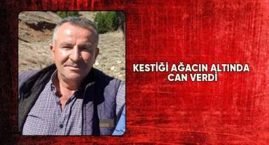 Kestiği ağacın altında can verdi