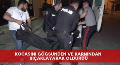 Kocasını göğsünden ve karnından bıçaklayarak öldürdü
