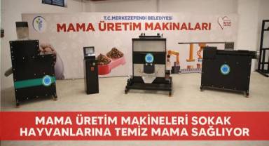 Mama üretim makineleri sokak hayvanlarına temiz mama sağlıyor