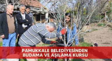 Pamukkale Belediyesinden budama ve aşılama kursu
