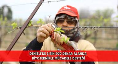 162 üreticiye 251 bin 500 adet feromon yayıcı desteği sağlanacak