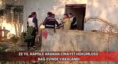 22 yıl hapisle aranan cinayet hükümlüsü bağ evinde yakalandı