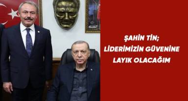 AK Partili Tin;