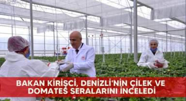Bakan Kirişci, Denizli'nin çilek ve domates seralarını inceledi