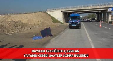 Bayram trafiğinde çarpılan yayanın cesedi saatler sonra bulundu