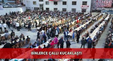 Binlerce Çallı Kucaklaştı