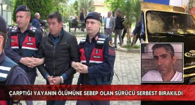Çarptığı yayanın ölümüne sebep olan sürücü serbest bırakıldı
