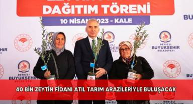 Denizli Büyükşehirden zeytin seferberliği