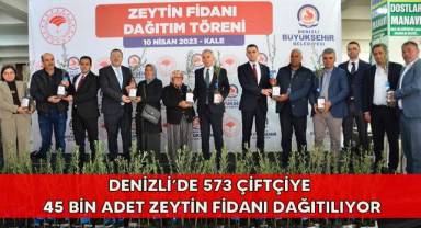 Denizli’de 573 çiftçiye 45 bin adet zeytin fidanı dağıtılıyor